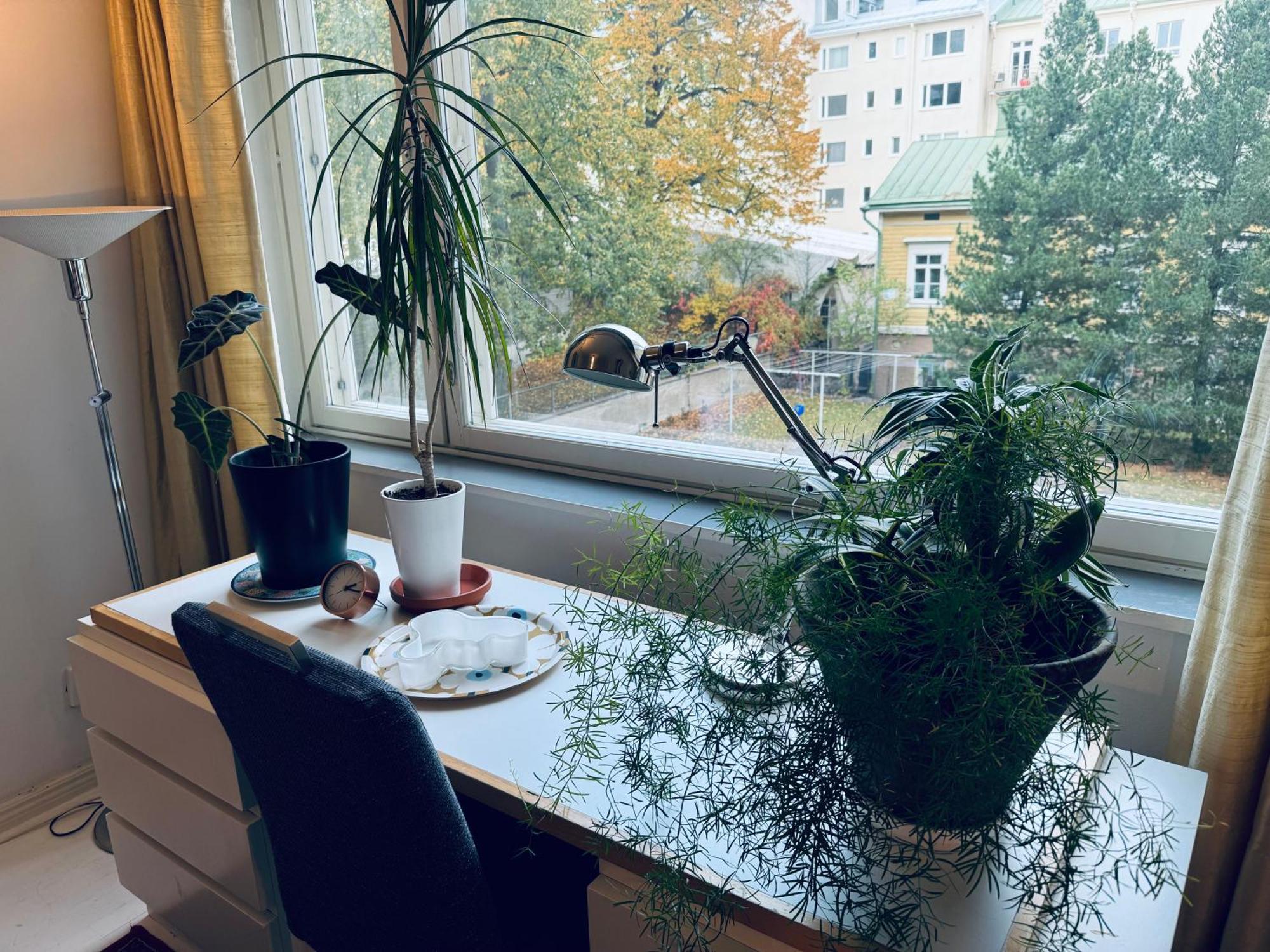 Lovely Apartment, Vuorimiehenkatu 31 Гельсінкі Екстер'єр фото